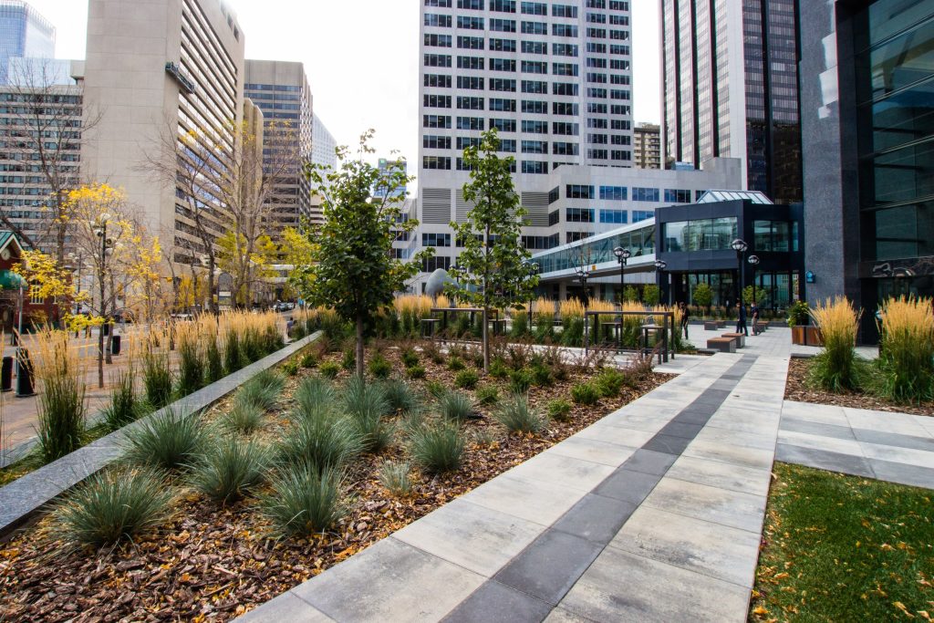 Elevating Outdoor Spaces: The Art and Science of Commercial Landscape Design